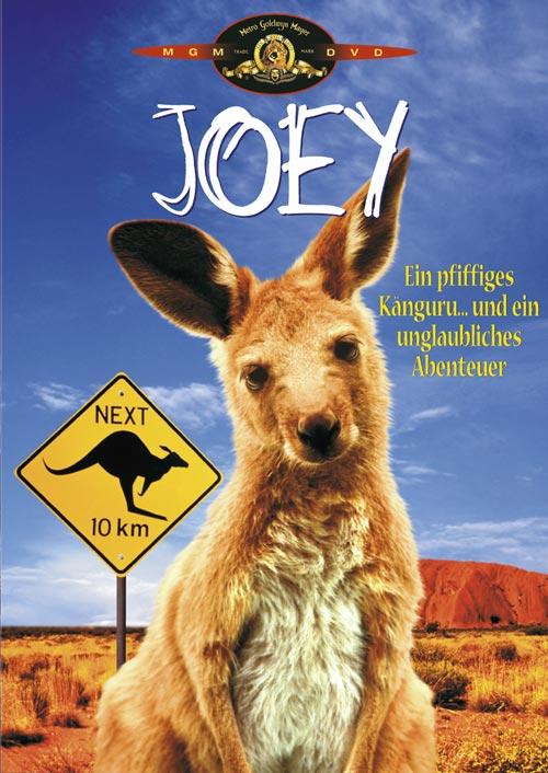 DVD Cover: Joey
