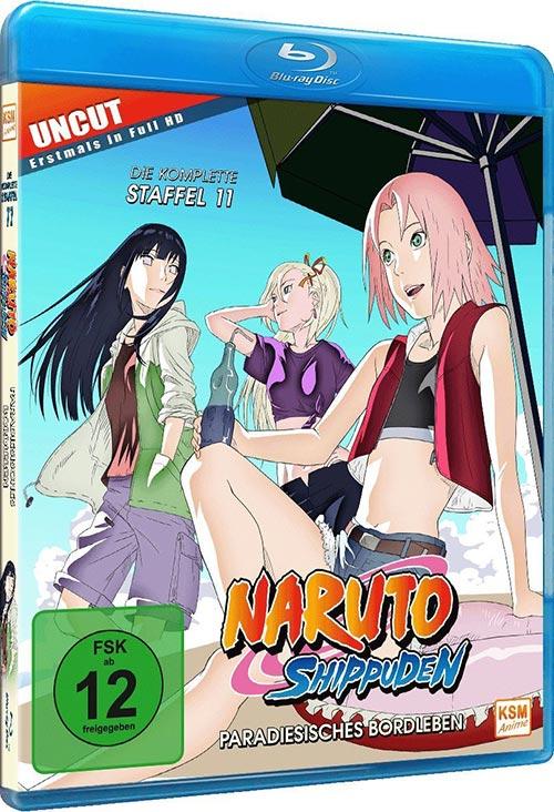 DVD Cover: Naruto Shippuden - Box 11
