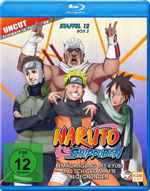 DVD Cover: Naruto Shippuden - Box 12.2