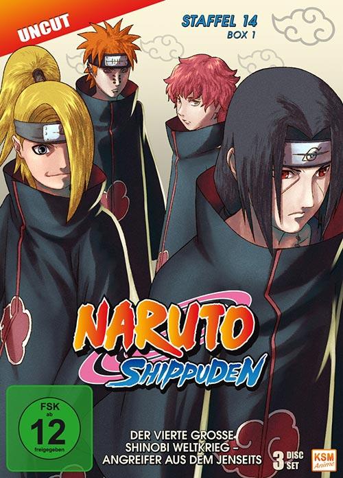 DVD Cover: Naruto Shippuden - Box 14.1