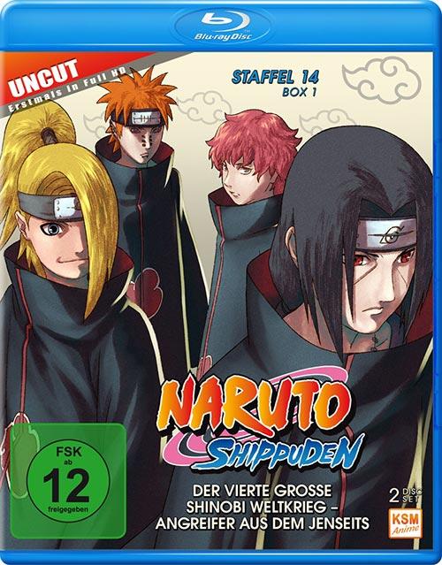 DVD Cover: Naruto Shippuden - Box 14.1