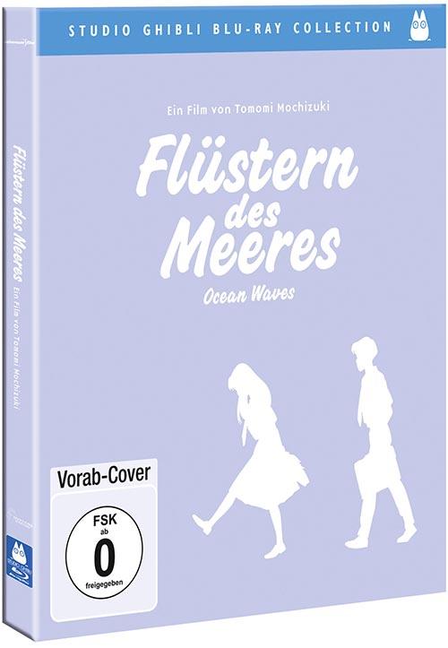 DVD Cover: Flstern des Meeres - Ocean Waves