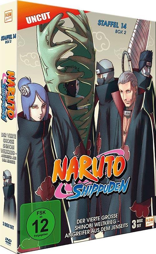 DVD Cover: Naruto Shippuden - Box 14.2