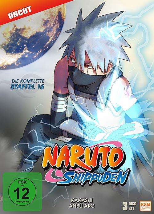 DVD Cover: Naruto Shippuden - Box 16