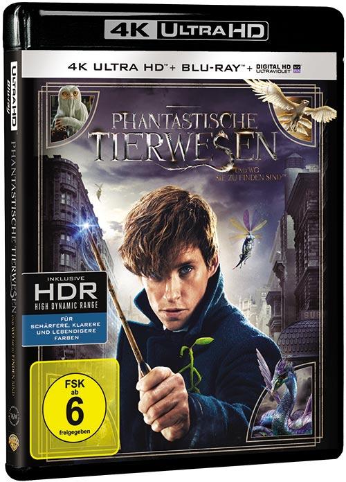 DVD Cover: Phantastische Tierwesen und wo sie zu finden sind - 4K