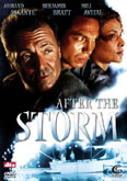 Film: After The Storm