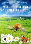 Film: Wildbienen und Schmetterlinge