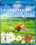 Film: Wildbienen und Schmetterlinge
