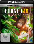 Film: Borneo - 4K