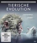 David Attenborough: Tierische Evolution