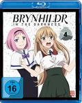 Brynhildr in the Darkness - Vol. 4