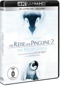 Film: Die Reise der Pinguine 2 - Der Weg des Lebens - 4K