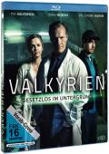 Film: Valkyrien - Gesetzlos im Untergrund