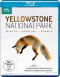 Film: Yellowstone Nationalpark