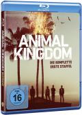Film: Animal Kingdom - Staffel 1
