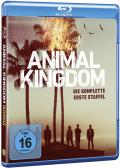 Animal Kingdom - Staffel 1