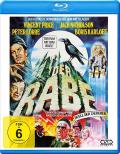 Film: Der Rabe