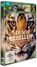 Tierische Rebellen - Die erstaunlichsten und frechsten Tiere der Welt