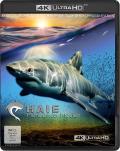 Film: Haie - Monster der Medien - 4K