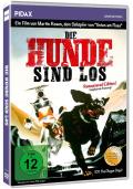 Die Hunde sind los