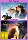 Film: Kids Collection - Das Geheimnis des Ponys / Midnight Stallion
