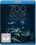 Film: 700 Haie in der Nacht