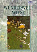 Film: Wunderwelt - Wiese