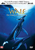 Film: IMAX-XCQ Ultra: Wale - Giganten der Meere