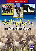 Wildpferde im Merfelder Bruch