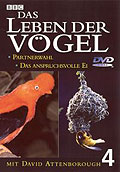 Das Leben der Vgel - DVD 4