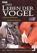 Das Leben der Vgel - DVD 5