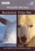 Film: Wildlife Specials - Buckelwal / Polar-Br - BBC
