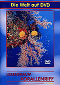 Film: Die Welt auf DVD: Lebensraum Korallenriff