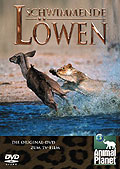 Animal Planet - Schwimmende Lwen