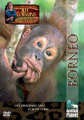 Animal Planet - Jeff Corwins tierische Abenteuer: Borneo