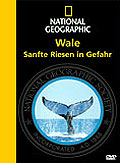 National Geographic - Wale: Sanfte Riesen in Gefahr