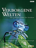 Film: Verborgene Welten - Das geheime Leben der Insekten