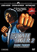 Film: Karate Tiger 2