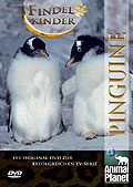 Film: Animal Planet - Findelkinder: Pinguine