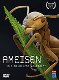 Ameisen - Die heimliche Weltmacht