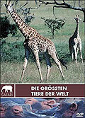 Safari: Die grten Tiere der Welt