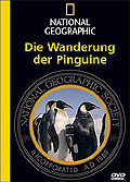 National Geographic - Die Wanderung der Pinguine