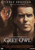 Grey Owl