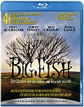 Film: Big Fish