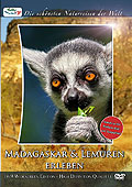 Film: Die schnsten Naturreisen der Welt: Madagsacar & Lemuren erleben