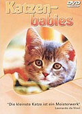 Film: Katzenbabies