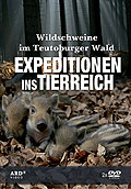 Expeditionen ins Tierreich: Wildschweine im Teutoburger Wald