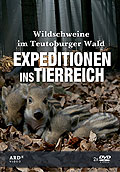 Film: Expeditionen ins Tierreich: Wildschweine im Teutoburger Wald