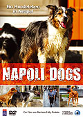 Film: Napoli Dogs - Ein Hundeleben in Neapel