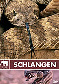Film: Safari: Schlangen